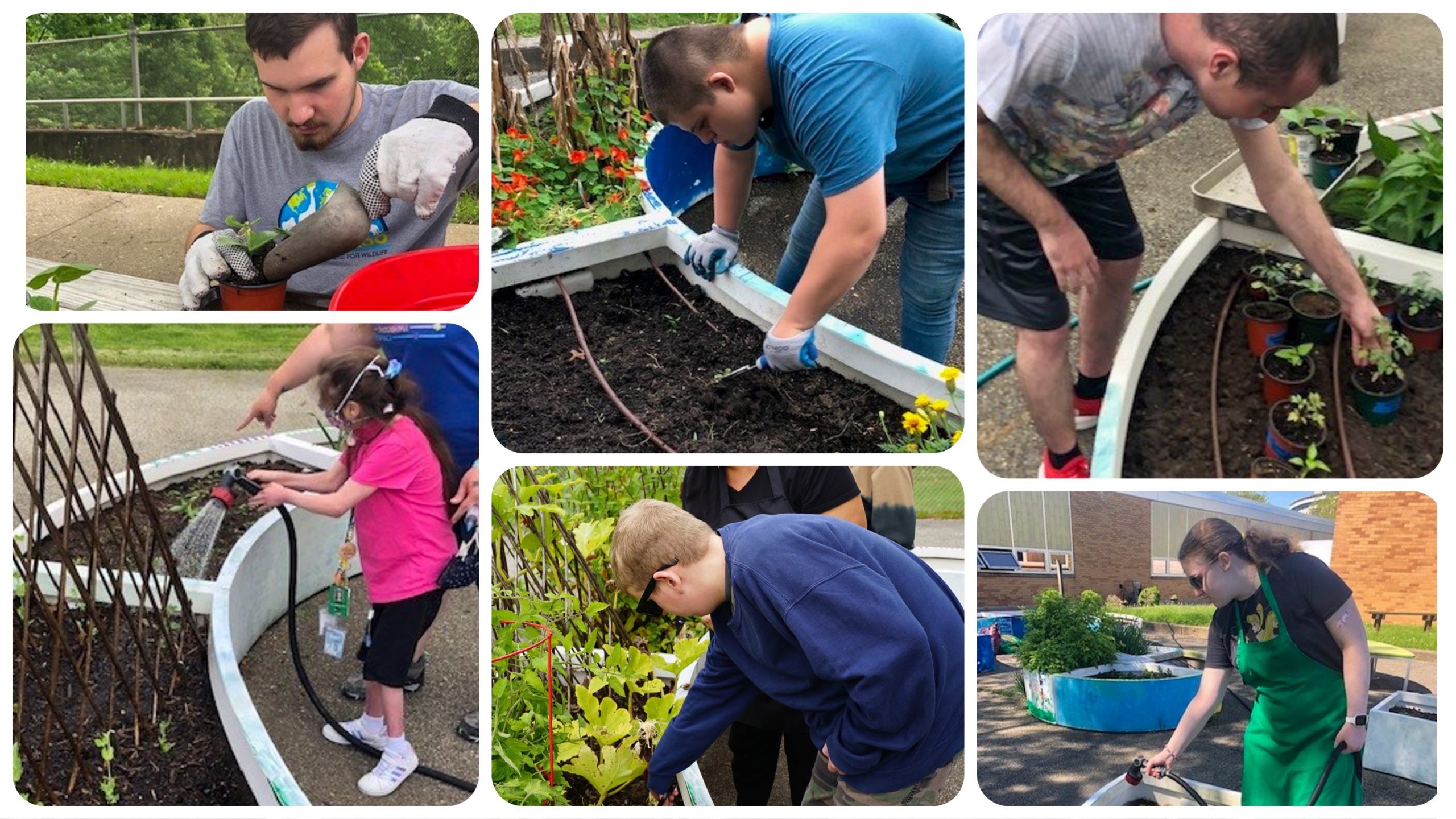 Collage of the Pathfinder Learning Garden